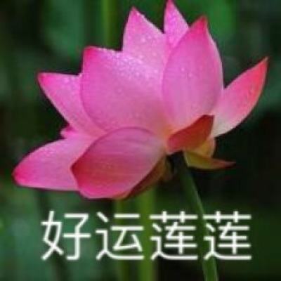 上海防疫有腔调：平等协商、柔性管理